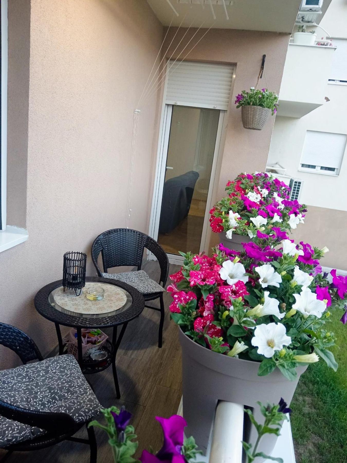 Apartman Lara Pirot Exterior foto