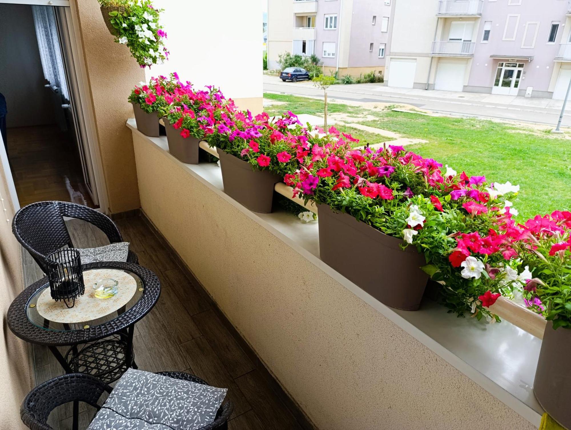 Apartman Lara Pirot Exterior foto